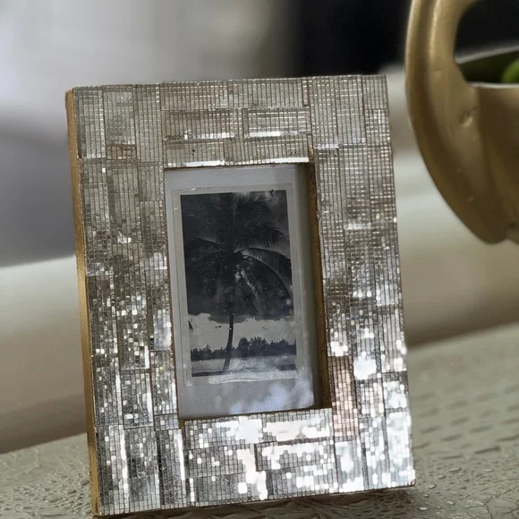 Elegant & Vintage Miami disco ball frame & antique photo of palm trees in Miami. - Picture 7 of 10